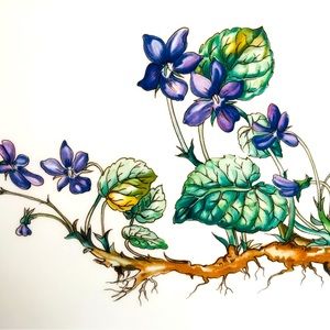 🆕Villeroy&Boch Botanica Porcelain Serving Plater